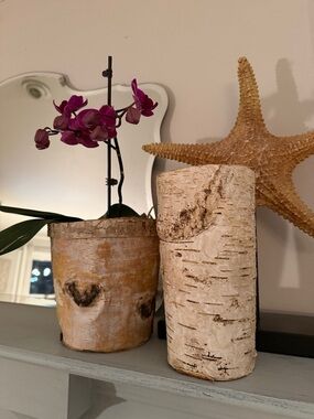 Rustic Handmade Birch basket-set of 2